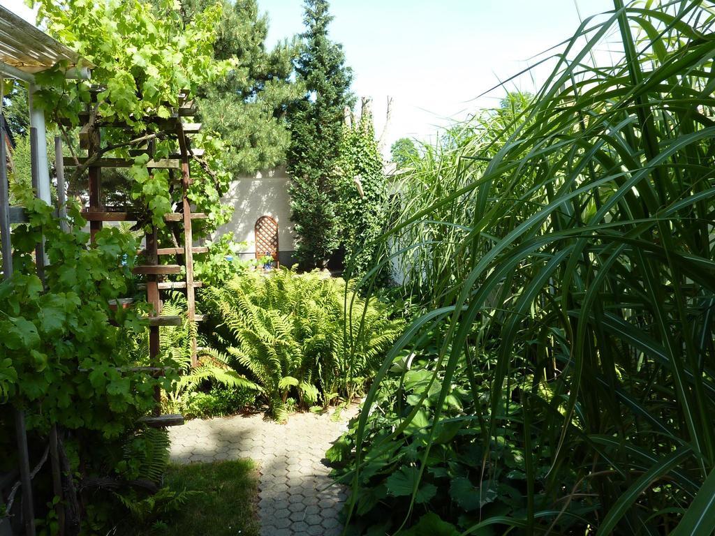 Neuseusslitz Pension Muench "Am Anger" מראה חיצוני תמונה