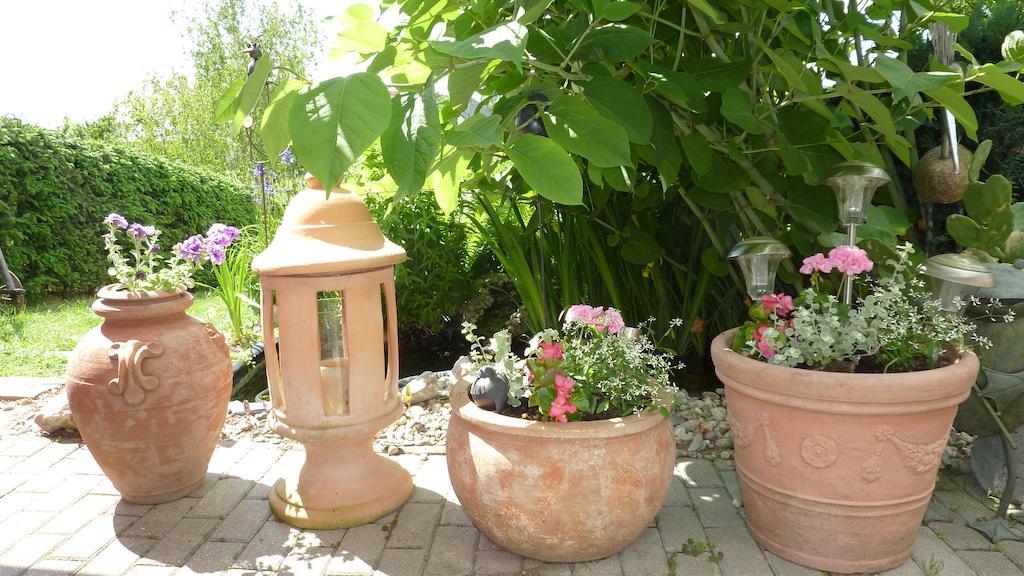 Neuseusslitz Pension Muench "Am Anger" מראה חיצוני תמונה