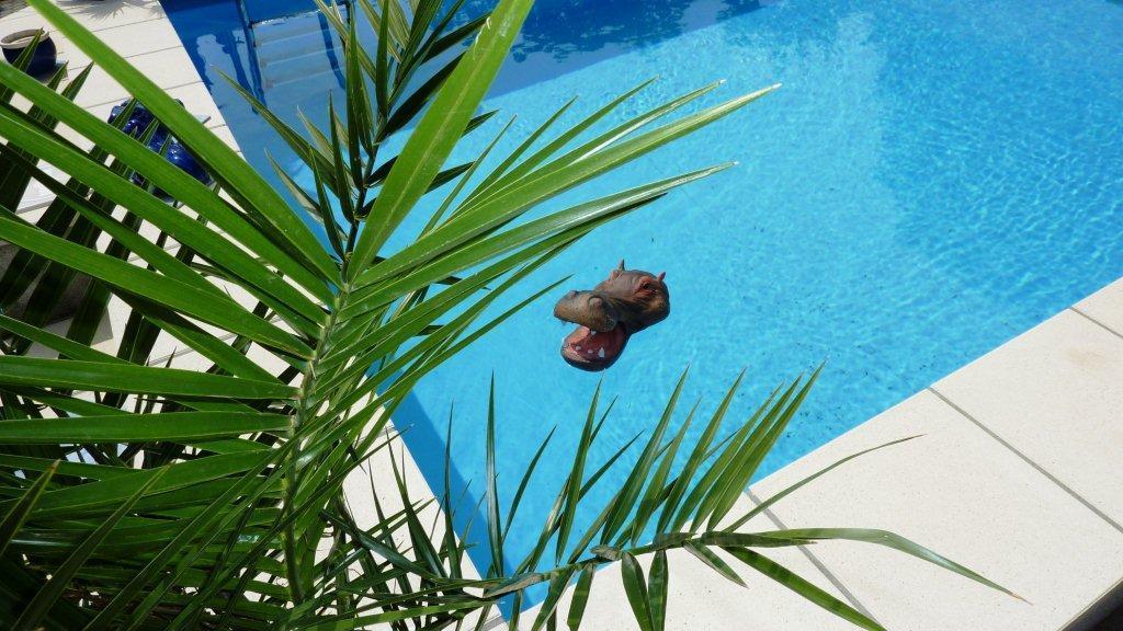 Neuseusslitz Pension Muench "Am Anger" מראה חיצוני תמונה
